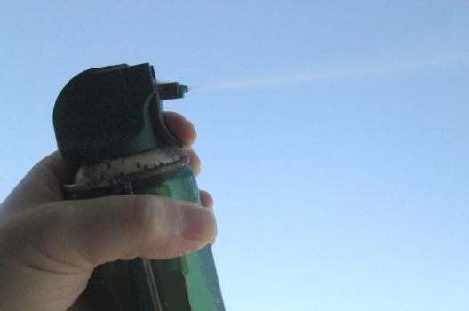 スズメバチの巣は初期なら自分でも駆除できる?手順と注意点を解説