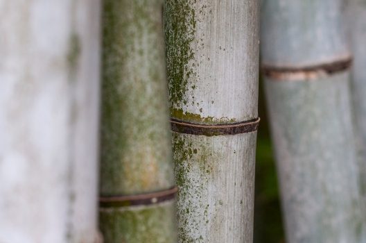 巣を作りやすい場所・放置すると穴だらけに