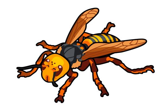 【スズメバチの寿命】女王蜂・働き蜂の一生と役割｜冬の巣の危険度！
